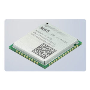 GSM/GPRS M65